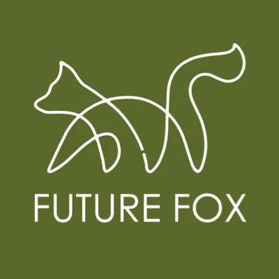 FUTURE FOX logo