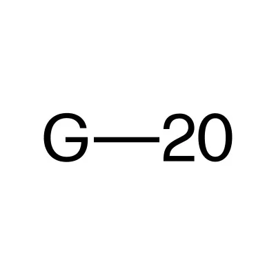 G-20 Group logo