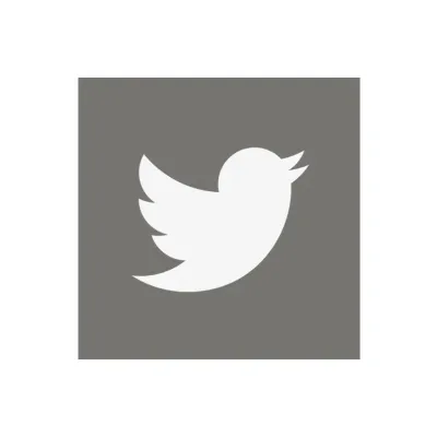 company_logo