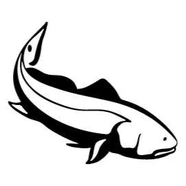 Galveston Fishing Company