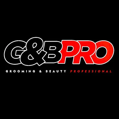 G AND B PRO logo