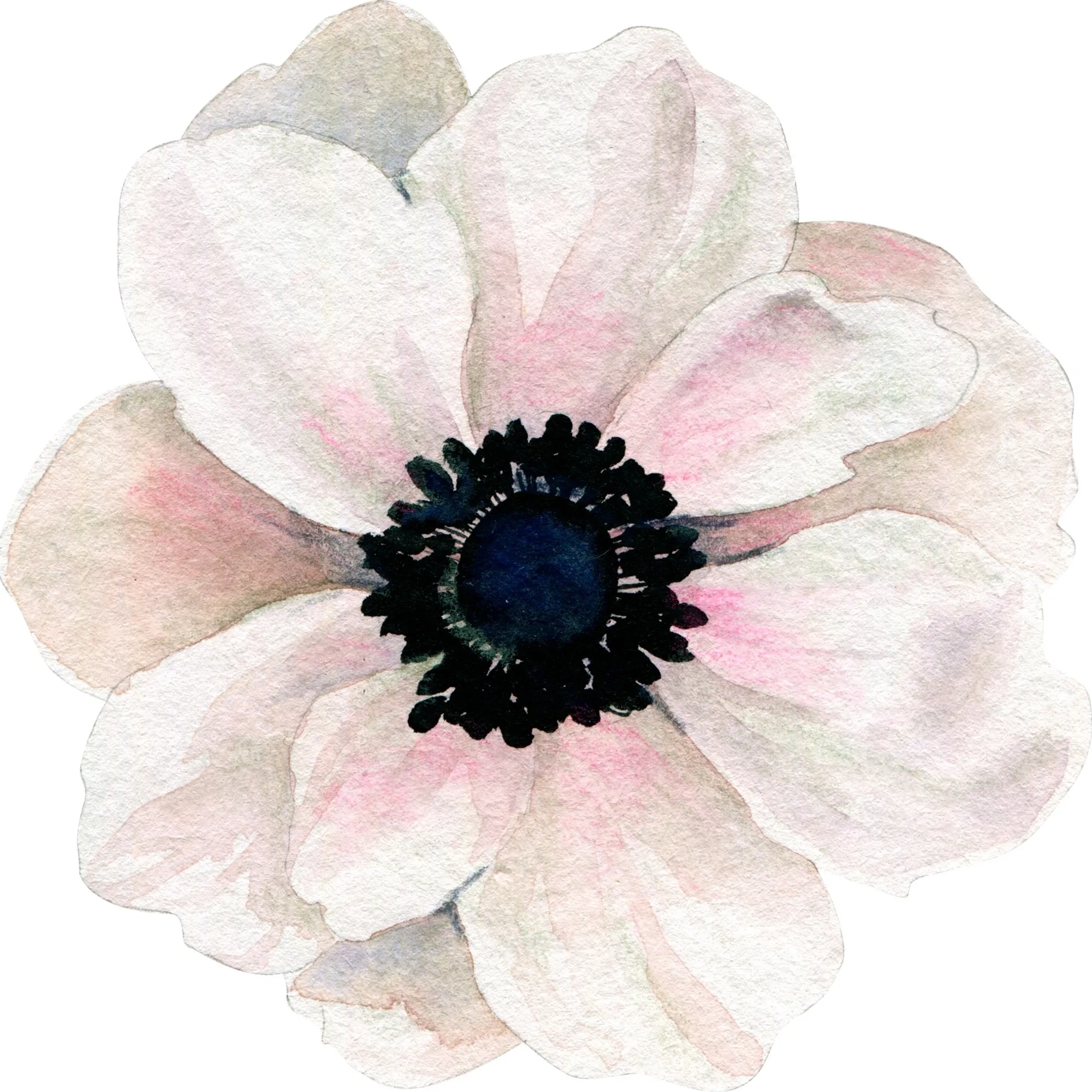 Gardengirlflowers