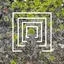 Mount Desert Land and Garden Preserve logo