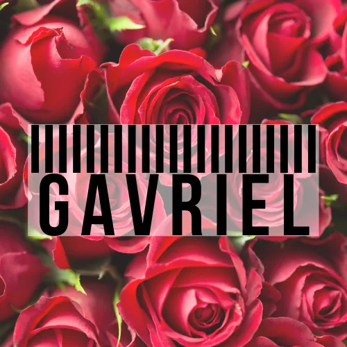 Gavriel (Gavriel.us)