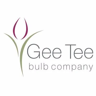 GeeTee Bulb Company