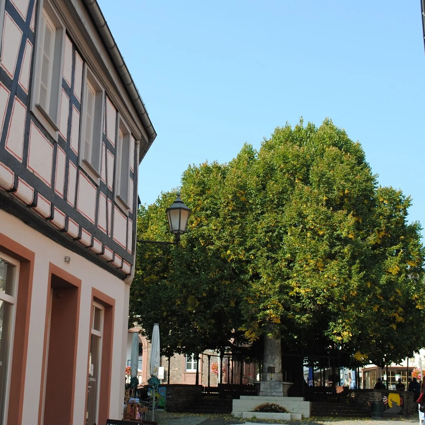 Stadt Geisenheim