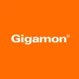 Gigamon-company-logo