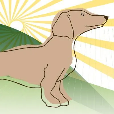 company_logo