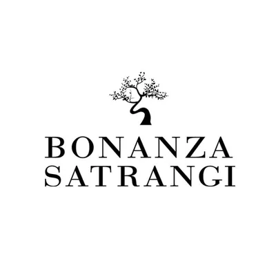 Bonanza Satrangi logo