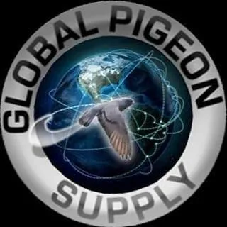 globalpigeonsupply.com logo