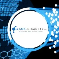 GMS-Giganetz GmbH