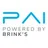 Payment Alliance International logo