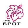 Logo The Spot - Strandafgang Barnaart