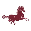 Grant Stone Shoes logo