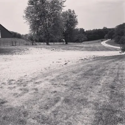 Gray Sleep