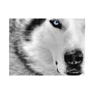 Gray Wolf Solutions logo