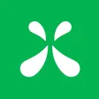 Green Roads | Deerfield Beach FL-company-logo