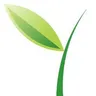 Green Vine Marketing logo