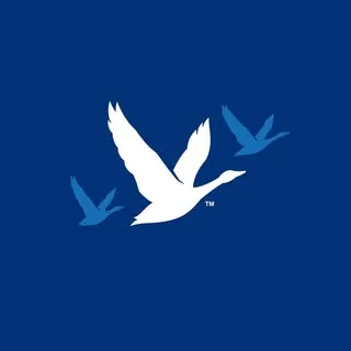 Grey Goose logo