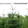 Logo Groot Haverkamp