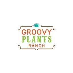 Groovyplantsranch