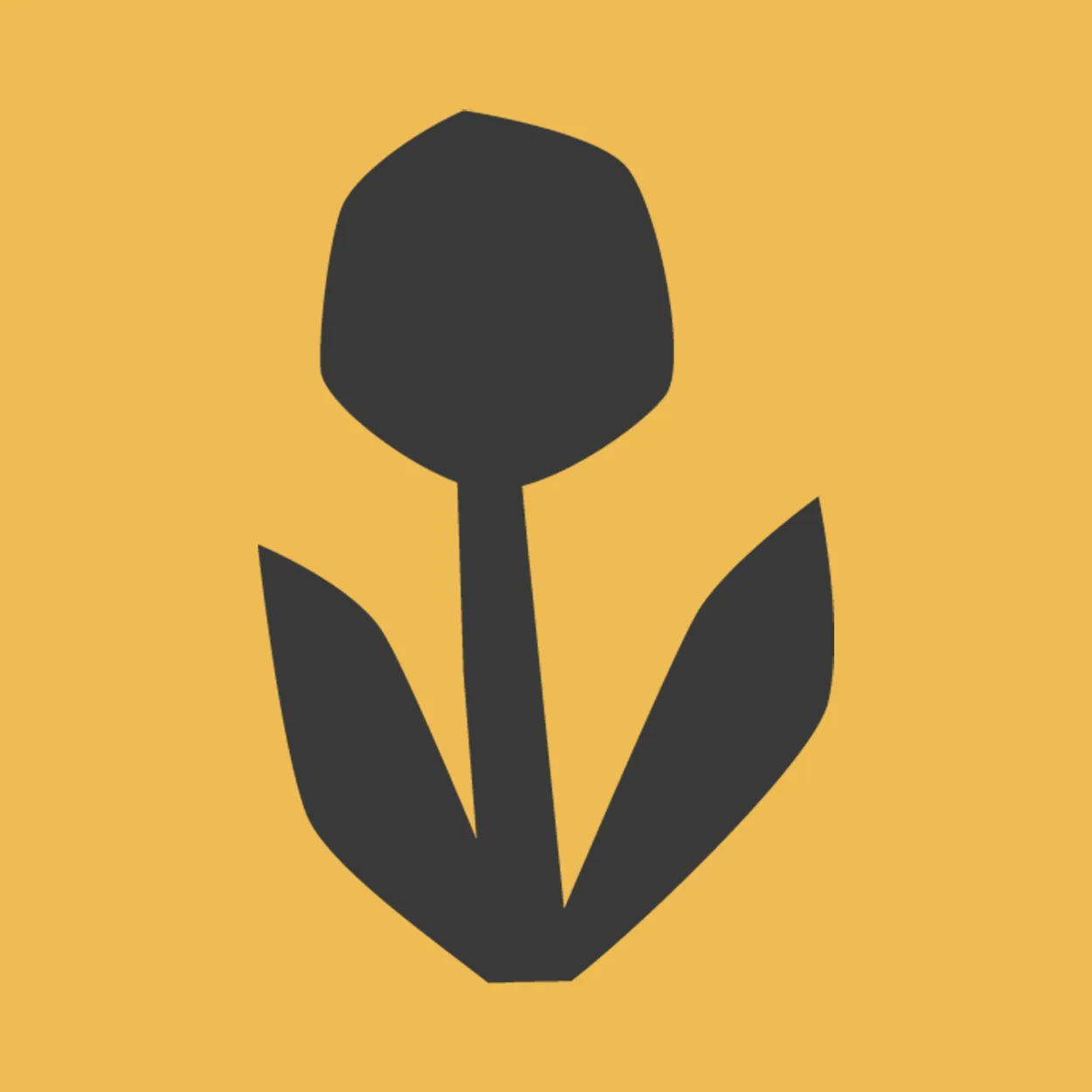 Groundwork Coffee Co. Official Website
