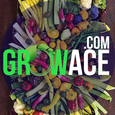 growace.com logo