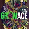 Grow Ace logo