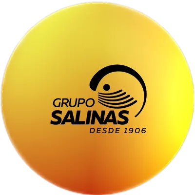 company_logo