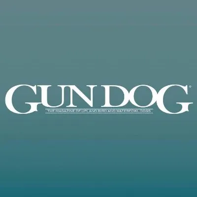 Gundogmag