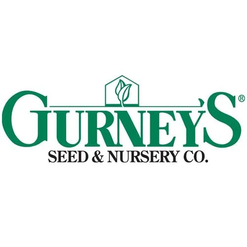 Gurneys