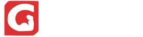 Gym Pin light logo