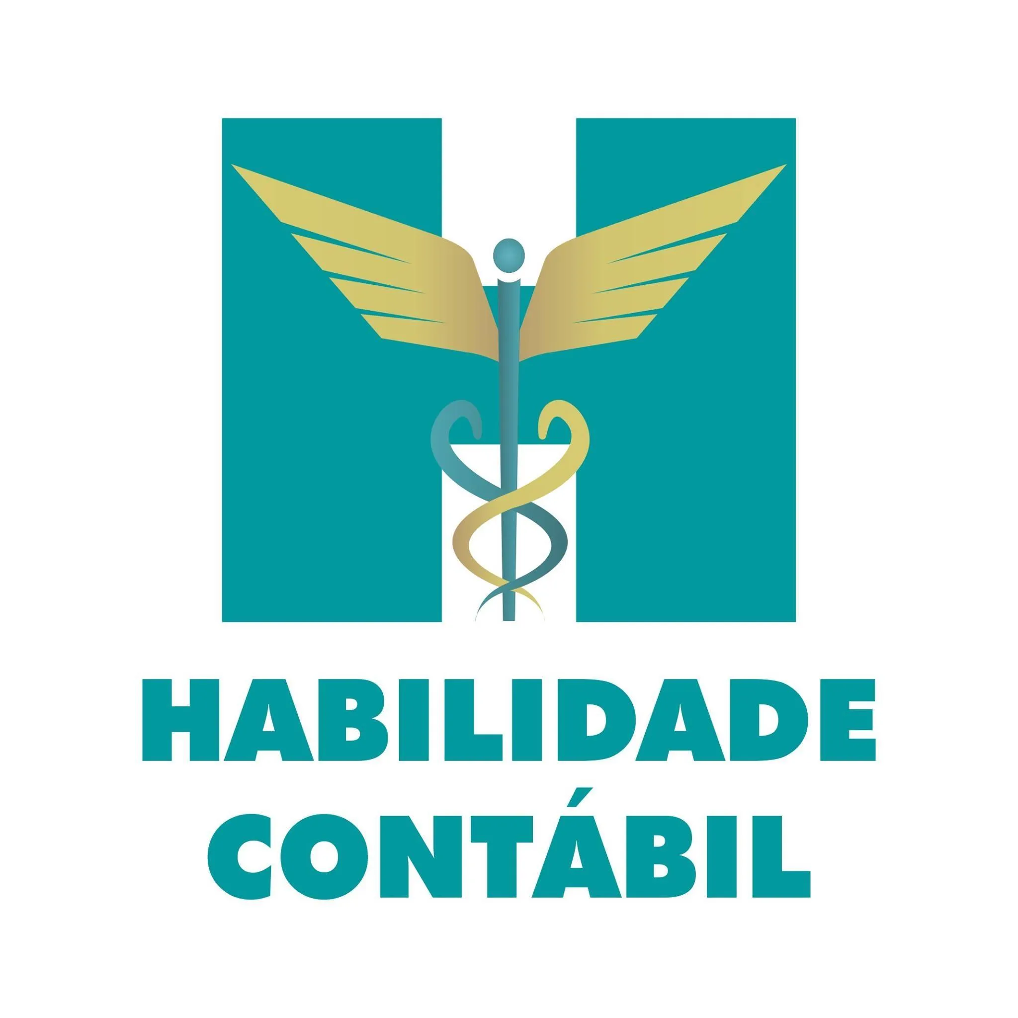 Habilidadecontabil