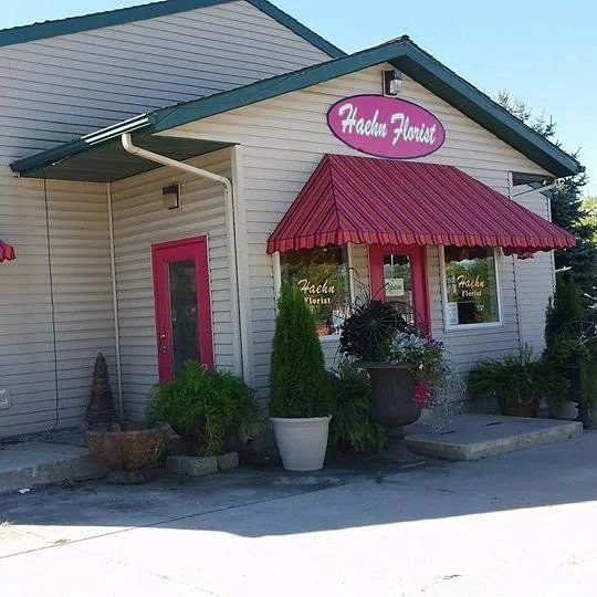 Haehnflorist