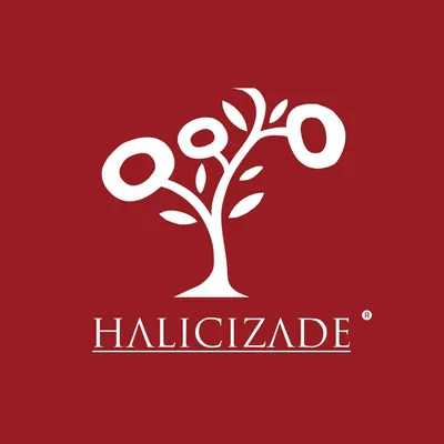 HALICIZADE logo