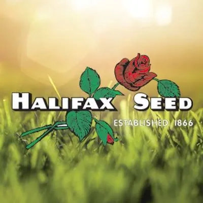 Halifaxseed