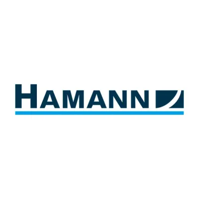 HAMANN Beratungs- und Prüfungsgesellschaft mbH Wirtschaftsprüfungsgesellschaft