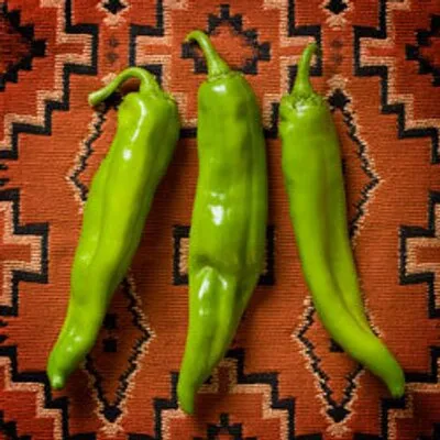 Hatch Chile Store Brand Logo