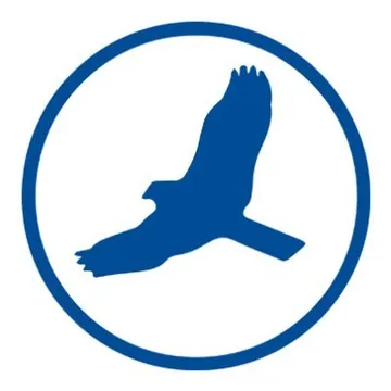 HawkSoft Logo