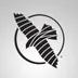 Hayabusa Fight logo