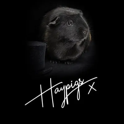 HAYPIGS logo