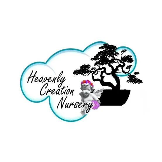 Hcnursery
