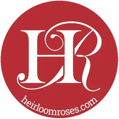 Heirloom Roses brand logo