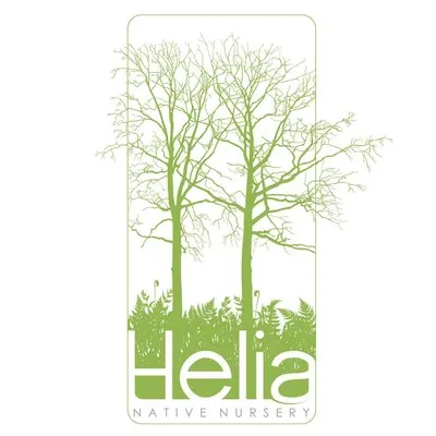 Helianativenursery