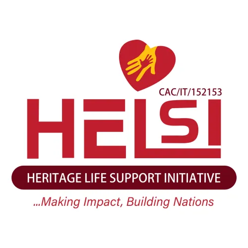 HeLiSi Group logo