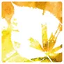 Logo Bert Hellinger Instutuut Nederland
