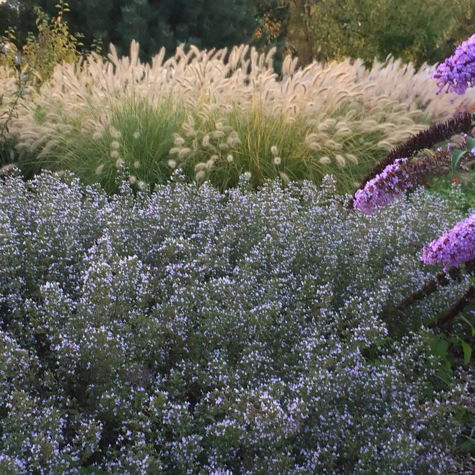 Heritageflowerfarm
