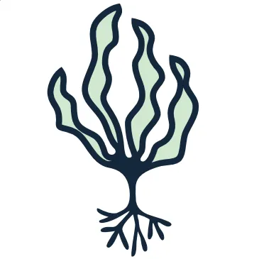 Heritageseaweed