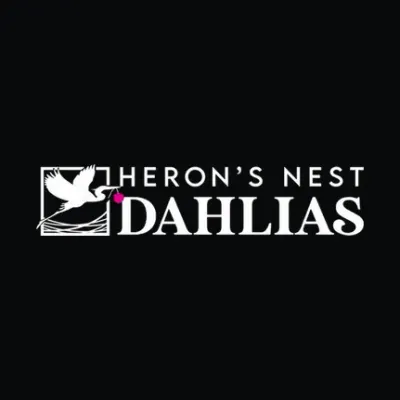 Heronsnestdahlias