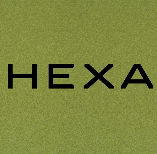 Hexa Capital logo